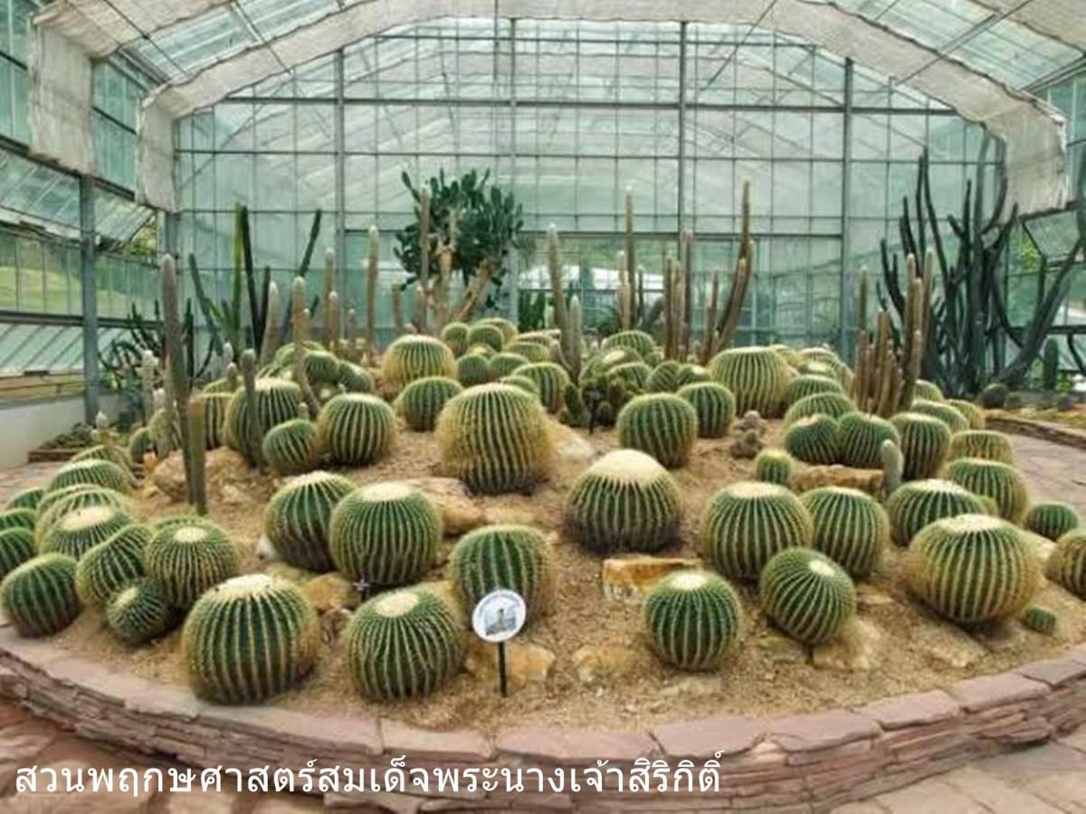 The Greenery Central Suite & Hotel Чиангмай Екстериор снимка